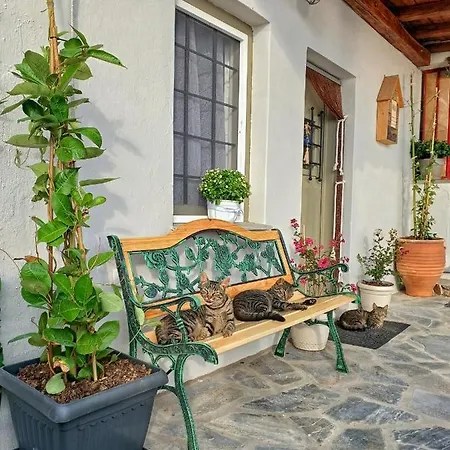 To Giataki Tou Pappou * Tsagarada