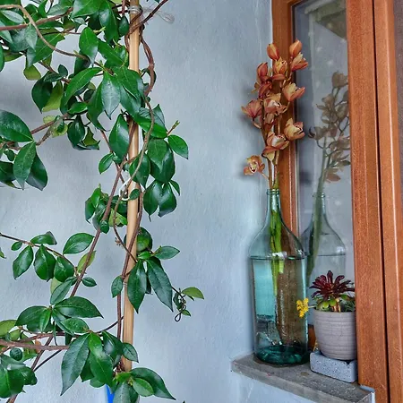 To Giataki Tou Pappou Apartment