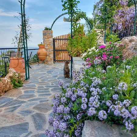 To Giataki Tou Pappou *