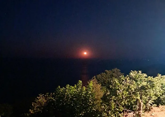 To Giataki Tou Pappou Apartment